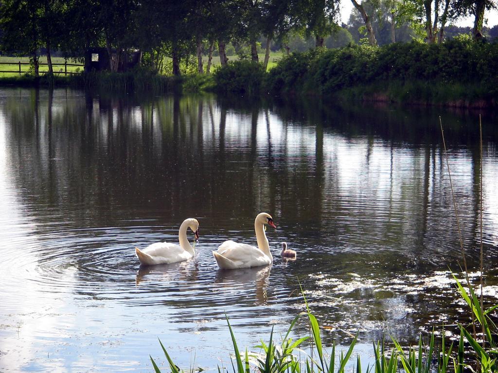 Pension Am Birkensee Detern 외부 사진